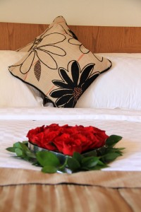 Heart Shaped Rose